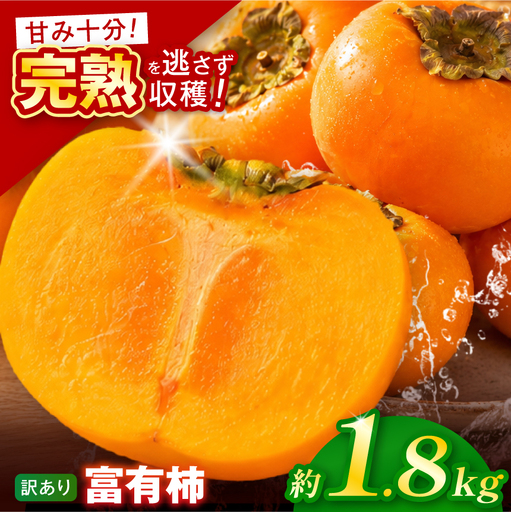 [訳あり品]先行予約 令和8年11月中旬順次発送 富有柿 ( 8個 / 1.8kg ) 1箱 岐阜県 本巣郡 北方町
