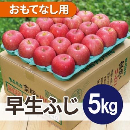 [26年10月から順次発送]平均糖度12度以上! 早生ふじ 約5kg おもてなし用 青森県産 りんご[配送不可地域:離島・沖縄県]