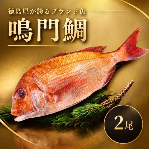 鳴門鯛 2kg ラウンド 2尾 鳴門鯛
