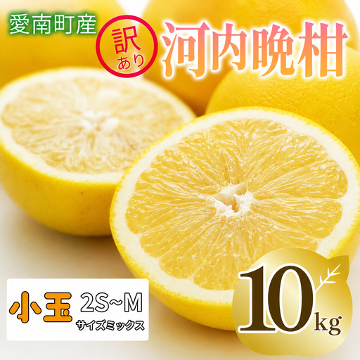  訳あり 河内晩柑 10kg 小玉 2S M サイズミックス 家庭用 愛媛県 愛南町 清家ばんかんビレッジ