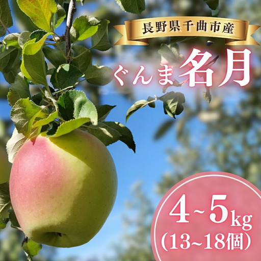 ぐんま名月 [優品] 1段: 約4kg~約5kg (13個~18個) [半蔵農園] | りんご