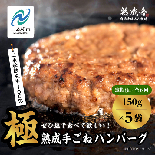定期便6回 熟成牛 ハンバーグ 4.5kg（150g×5袋） ハンバーグ 国産 牛肉