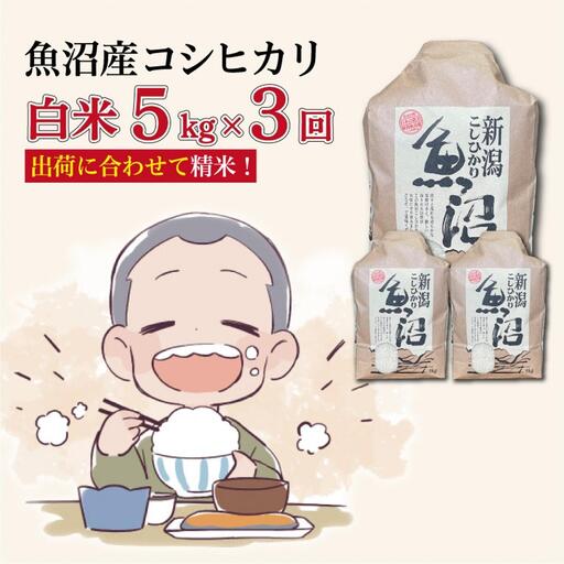 【３か月定期便】令和８年産新米　魚沼産コシヒカリ 精米５kg×３回　計15kg