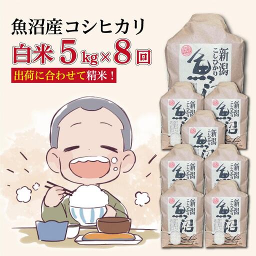 【８か月定期便】令和８年産新米　魚沼産コシヒカリ 精米５kg×８回　計40kg
