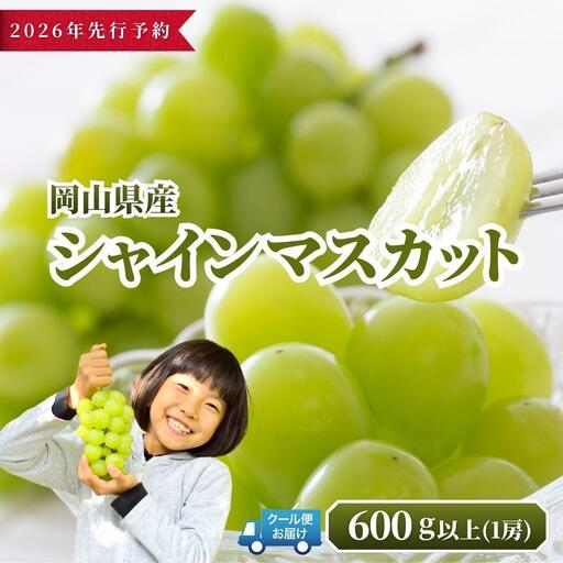 【2026年発送分 先行予約】 シャインマスカット 600g以上（1房）【ご家庭用】【025-a034】