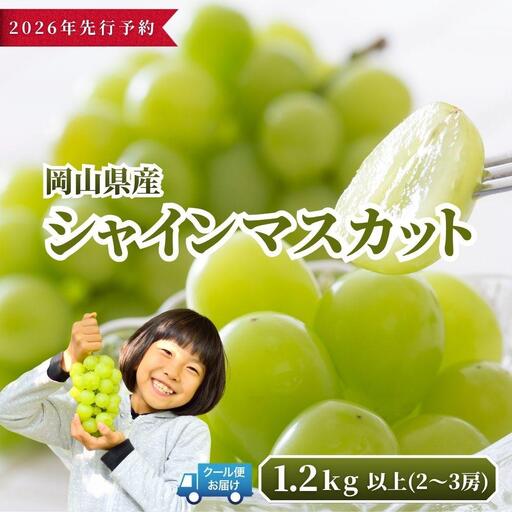 【2026年発送分 先行予約】岡山県産 シャインマスカット 1.2kg以上（2～3房）【ご家庭用】【025-a035】