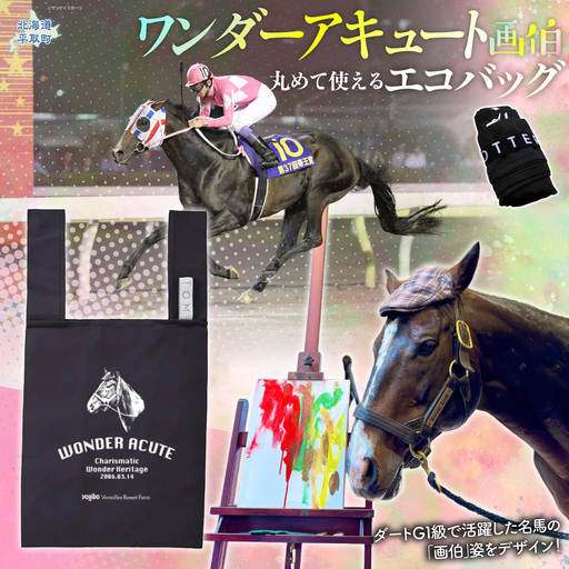 【ワンダーアキュート】丸めて使えるエコバッグ BRTV204