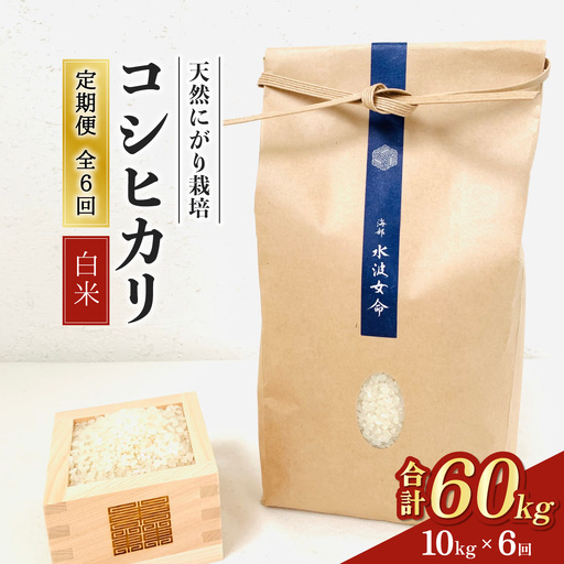 【先行予約】コシヒカリ白米 【定期便】10kg×６回 60kg 令和8年産 天然にがり栽培 こしひかり【2026年10月以降順次発送】