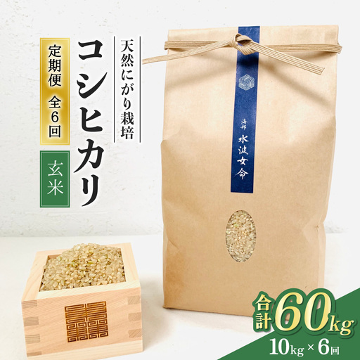【先行予約】コシヒカリ玄米 【定期便】10kg×３回 30kg 令和8年産 天然にがり栽培 こしひかり【2026年10月以降順次発送】