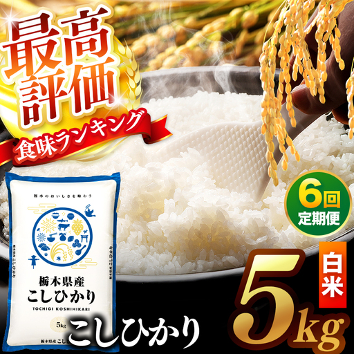 【先行予約】【定期便6回】 ＼白米／ 真岡市産コシヒカリ 5kg