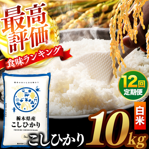 【先行予約】【定期便12回】 ＼白米／ 真岡市産コシヒカリ 10kg