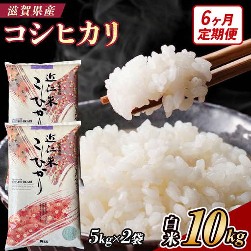 【6ヶ月定期便】【令和7年産】近江米コシヒカリ白米10kg（5kg×2袋） (173433-40038263)