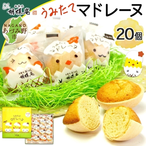 胡蝶庵　うみたてマドレーヌ　20個セット
