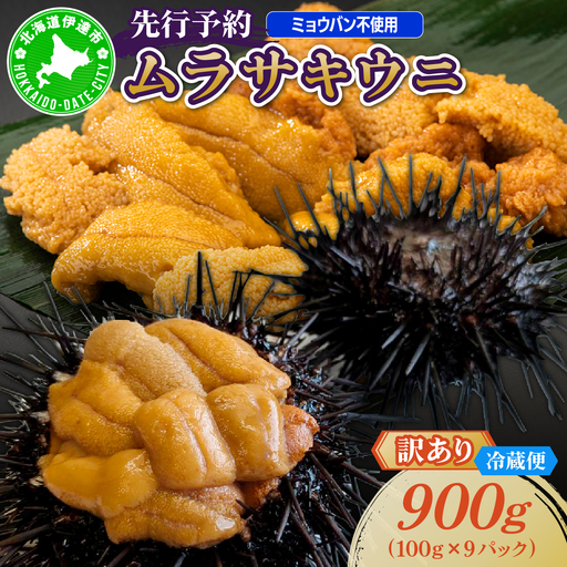 ＜先行予約＞ 北海道産 ムラサキウニ（訳あり）900g【ogm-047】