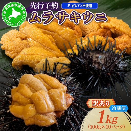 ＜先行予約＞ 北海道産 ムラサキウニ（訳あり）1kg【ogm-048】