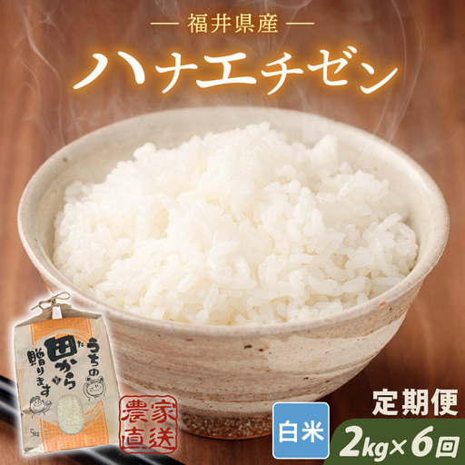 先行予約 定期便 6ヶ月連続お届け ハナエチゼン 2kg (1袋) × 6回 計12kg 白米 精米 ブランド米 2026年9月上旬以降順次発送予定 [B-8948]