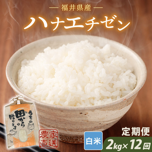 先行予約 定期便 12ヶ月連続お届け ハナエチゼン 2kg (1袋) × 12回 計24kg 白米 精米 ブランド米 2026年9月上旬以降順次発送予定 [E-8915]