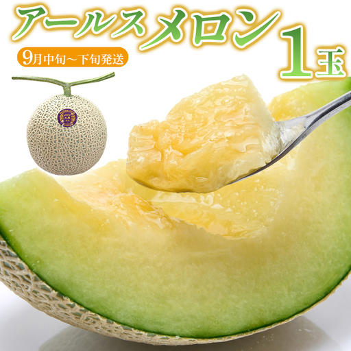 アールスメロン 1玉【9月中旬～下旬頃発送】　メロン工房 川上