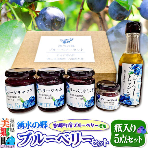 湧水の郷ブルーベリーセット 5点 （バルサミコ酢、ドレッシング、ジャム、ケチャップ、ブルーベリー塩）