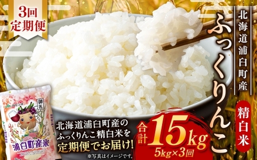 【 3回定期便 】〈 令和8年産 〉 浦臼産 ふっくりんこ 精白米 5kg お米 米 こめ コメ 白米 白飯 飯 ご飯 おにぎり ブランド米 ブランド 国産 北海道産 和食 魚料理 定期 定期配送 【 2026年11月上旬より順次発送 】