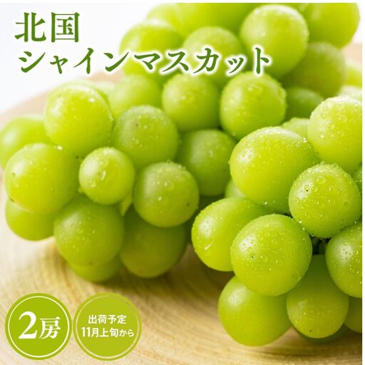 北国の冬シャインマスカット2房[hi-0068-028]