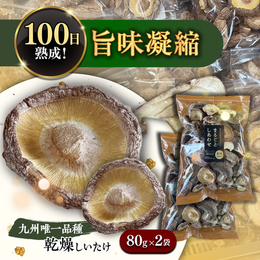 乾燥しいたけ 80g 2袋 計160g  / きのこ キノコ 茸 シイタケ  / 南島原市 / サンエスファーム[SBX004]