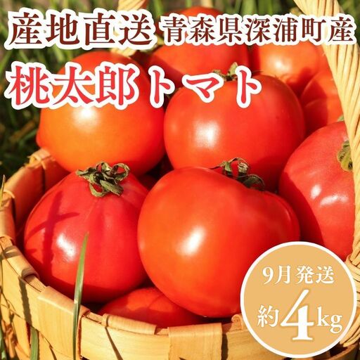 桃太郎トマト 約4kg  [fu-0022-002-09]