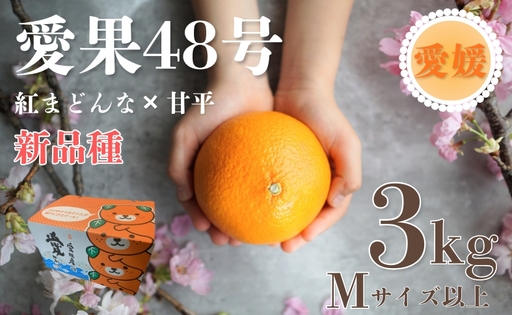 【2027年先行予約】みかん 愛果48号 3kg Mサイズ以上（みきゃん箱）紅プリンセス同一品種【2027年3月下旬から順次発送予定】 数量限定 愛媛県産 人気 柑橘 フルーツ 国産 おすすめ 伊予市 愛媛｜B557