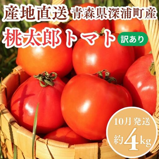 訳あり 桃太郎トマト 約4kg[fu-0022-003-10]