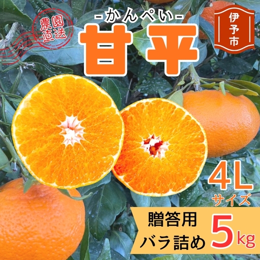【2027年2月上旬より順次発送】甘平 5kg 4Lサイズ 贈答用 バラ詰め｜C186