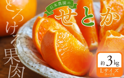 せとか 石本農園のハウスせとか 約3kg[mis022]