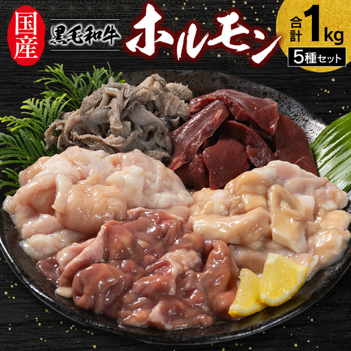 国産 黒毛和牛 ホルモン 5種セット 各200g 計1kg やみつき 小分け 冷凍[B685]