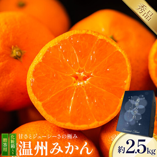 贈答用 温州みかん 約2.5kg 日本フルーツ株式会社 熊本県 荒尾市 [11月上旬-2月中旬頃出荷] デコポン 果物 秀品 フルーツ スイーツ デザート ギフト ご贈答