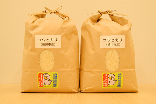 特別栽培米 コシヒカリ 5kg×2袋 合計 10kg 桶川産