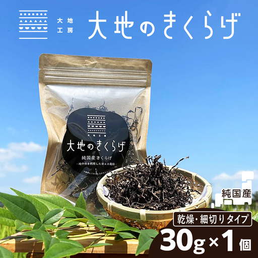 国産 乾燥きくらげ 細切りカット 30g 大地のきくらげ