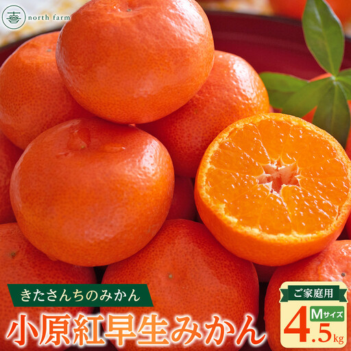 [先行予約]きたさんちのみかん 小原紅早生みかん4.5kg ご家庭用(Mサイズ)[12月上旬発送]