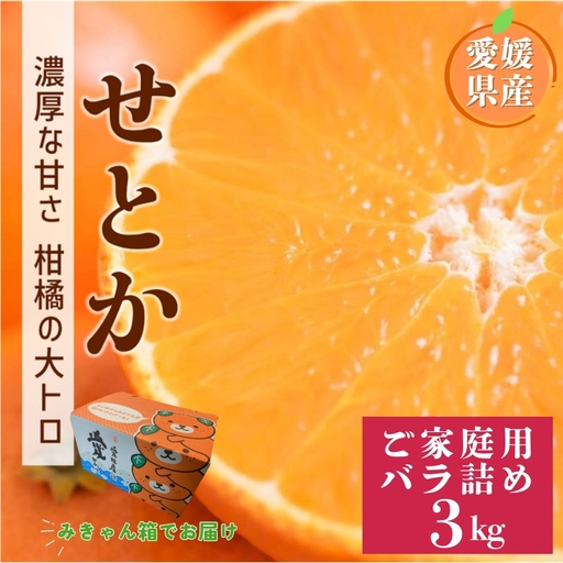 [2027年2月上旬より順次発送]せとか 3kg バラ詰め Mサイズ以上|