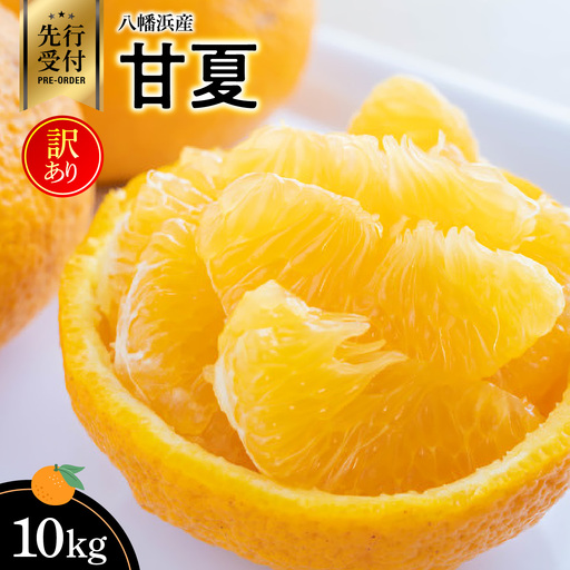 【先行受付】八幡浜産・甘夏10kg【訳あり】【C56-46】【配送不可地域：離島】【1479308】 YWTAS036