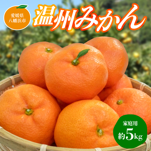 【先行受付】温州みかん【家庭用】約5kg【C76-11】【1506321】 YWTAB008
