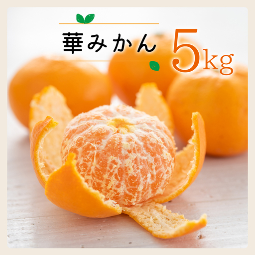[先行受付](熨斗付き)コウ果樹園の華みかん5kg[A33-46][1525643]