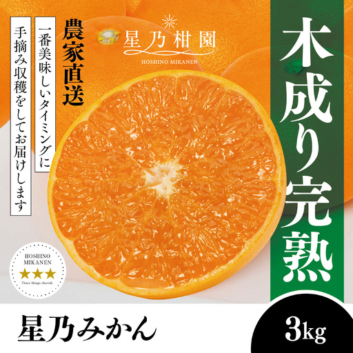 【先行受付】【三つ星ブランド】星乃みかん(3kg)【A45-96】【1625777】 YWTAZ058