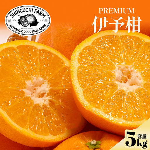 【先行受付】五代目が厳選した【伊予柑5kg】【愛媛県】【C70-95】【1671260】 YWTK094