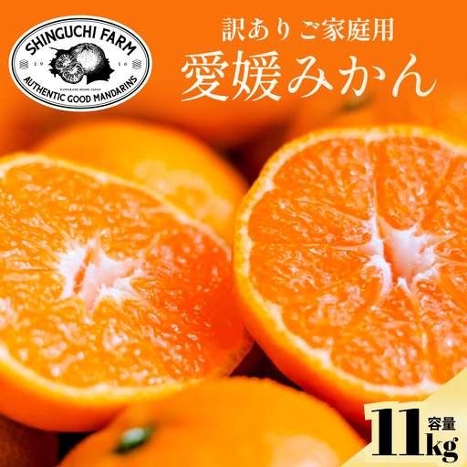 【先行受付】【訳ありだけど美味しさそのまま】愛媛みかん 11kg 愛媛県産【C70-136】【1686736】 YWTK135
