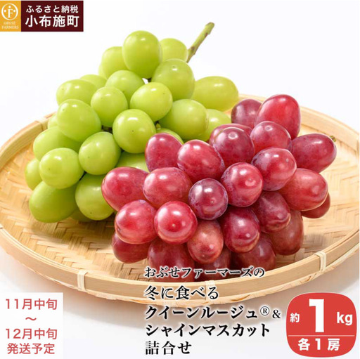 冬に食べるクイーンルージュ®&シャインマスカット詰合せ 各1房 約1kg [おぶせファーマーズ] ぶどう セット 食べ比べ 2種 各 1房 葡萄 ブドウ 果物 フルーツ令和8年産 [2026年11月中旬〜12月中旬発送] 