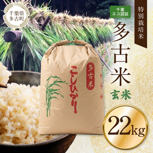 千葉エコ認証　特別栽培米多古米「コシヒカリ」玄米22kg TAKJ005