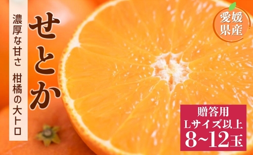 【2027年先行予約】せとか 8〜12玉 Lサイズ以上 贈答用 【2027年2月上旬より順次出荷予定】 愛媛 数量限定 愛媛県産 人気 柑橘 伊予市｜C190