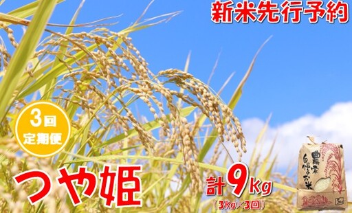 [3回定期便][令和8年産米 先行予約]つや姫3kg 計9kg 佐藤