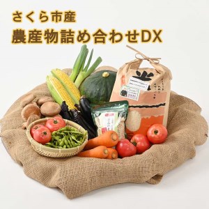 さくら市産の農産物詰め合わせDX 【道の駅きつれがわ】≪野菜 旬の野菜 米 白米 栃木県≫◇