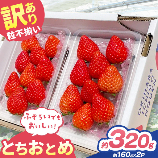 訳あり 粒不揃い とちおとめ 320g (160g×2P) [2027年先行予約] いちご 苺 | 栃木県 矢板市 澳原いちご農園
