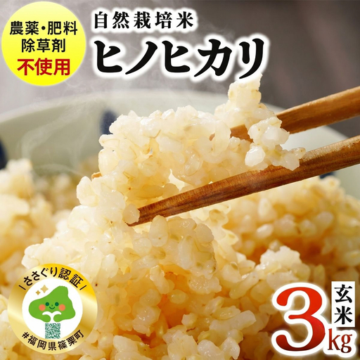農薬・除草剤・肥料不使用 自然栽培米 令和7年度産ヒノヒカリ 玄米 3kg